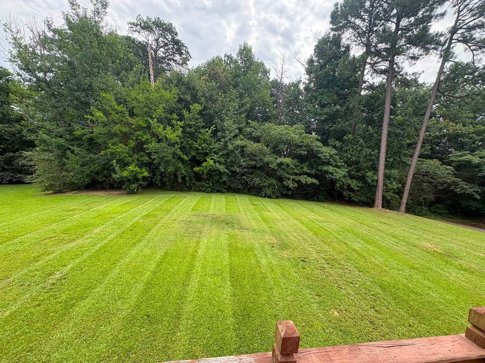 1 Lawn Mowing