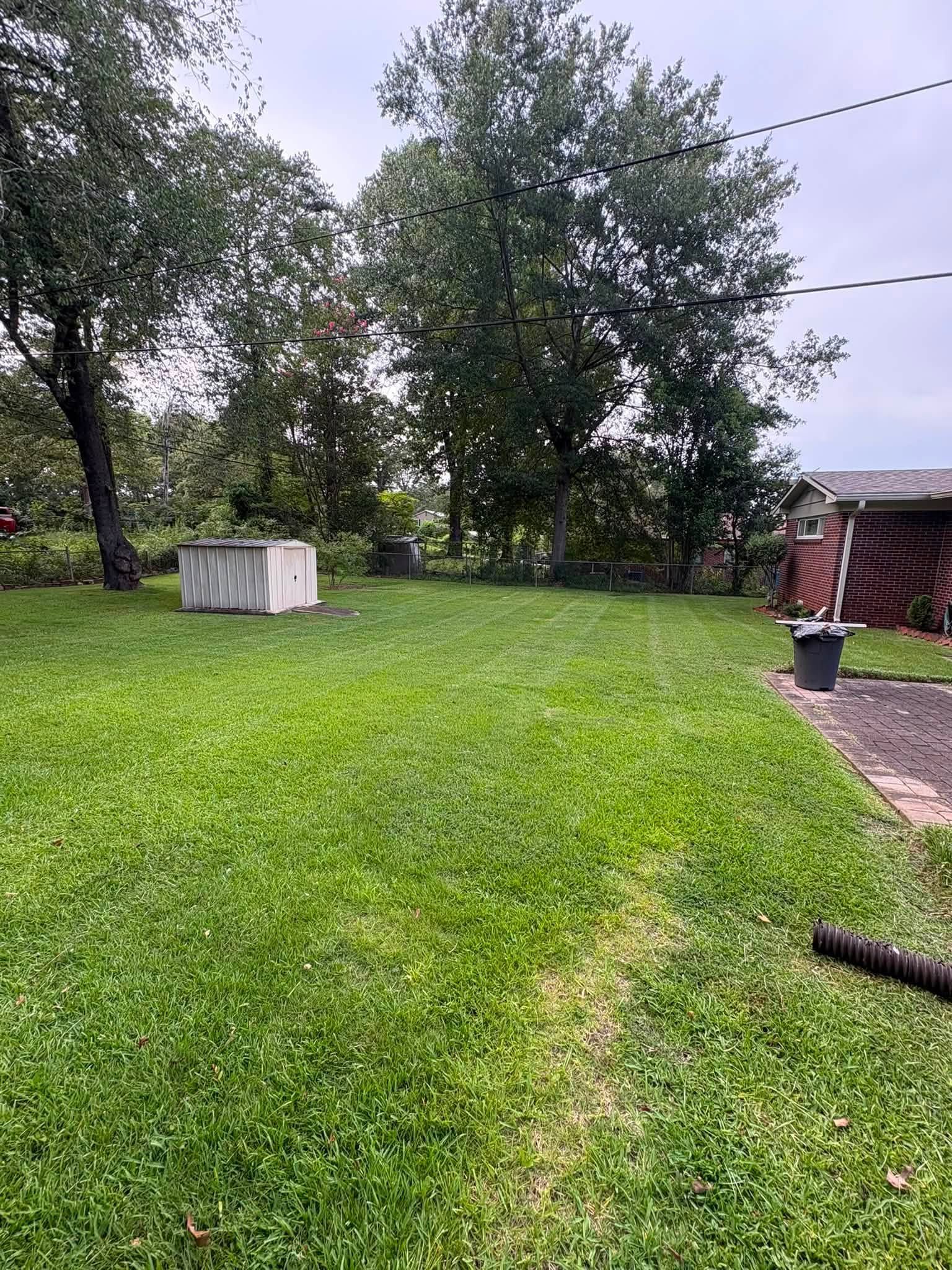 5 Yard Cleanup